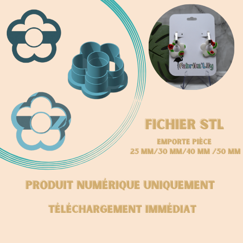 🖨️ Fichiers STL